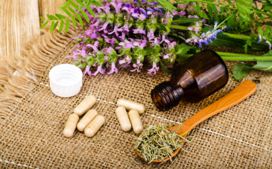 Herbs, Supplements & Homeopathic Physician -Brandon, FL
